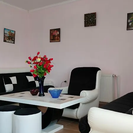 Domacinsvo Stevic - Sekuric Belusic