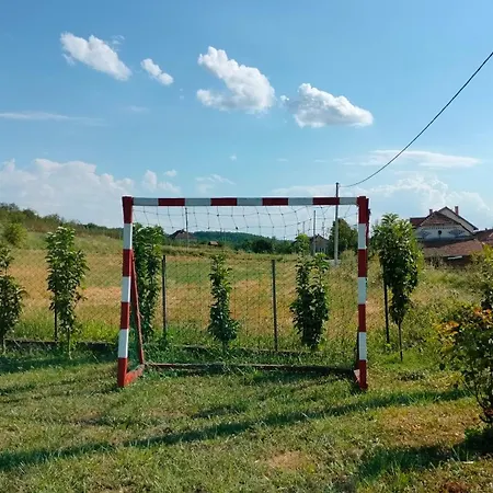 Domacinsvo Stevic - Sekuric Дом отдыха *