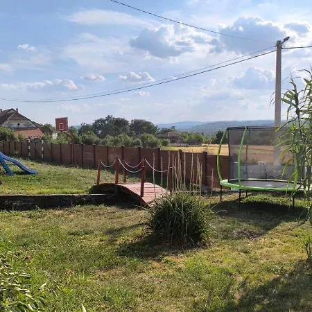 Domacinsvo Stevic - Sekuric *