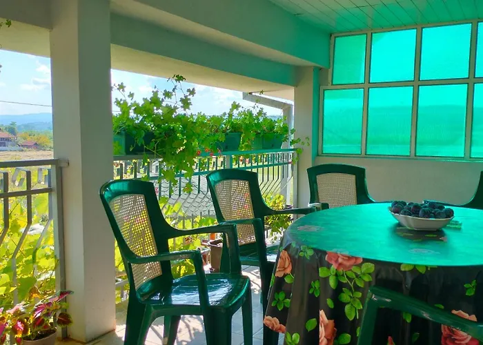 Domacinsvo Stevic - Sekuric