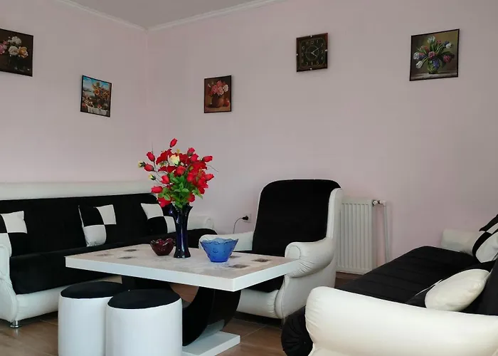 Domacinsvo Stevic - Sekuric Belusic